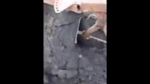 Сад и огород. Плуг ПЦ-1-18 к мотоблоку. Первая пахота.