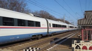 САПСАН ПЕРЕЕЗД ГОЛОВКОВО НА ПИТЕР