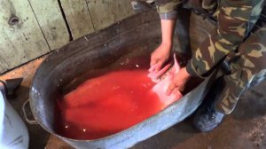 Подготовка рыбы к засолке, мойка Холодное копчение рыбы. Часть 2.3