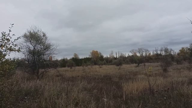 2 декабря народный праздник АВДЕЙ РАДЕТЕЛЬ. народные приметы и поверья