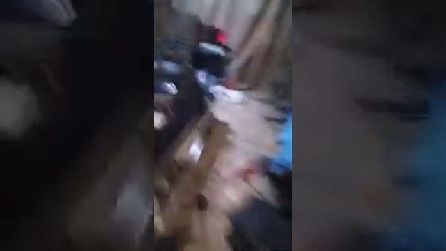 рысь с двигателем к6а смотреть онлайн