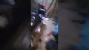 рысь с двигателем к6а