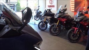 Brand new YAMAHA T-MAX 530 DX (the extra's of the DX version)