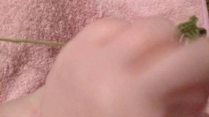 МК шаль , 3D узором , полукруглой формы крючком , +0.