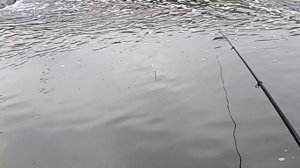 Подводная охота и поплавочная рыбалка на пескаря