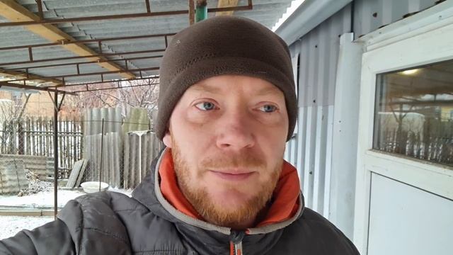 Помёт в курятнике - куда я его деваю, зачем его покупают, как часто я его убираю!? смотреть онлайн