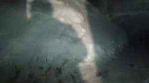 Разведение кроликов зимой