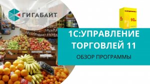 1С Управление торговлей Обзор программы, пошаговая инструкция по работе с 1С  УТ 11