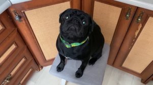 ВЛОГ Кира мне подарила свой подарок ? . Решили себя порадовать и заказали суши.