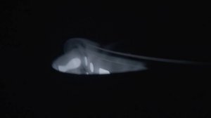 Чайник Pioneer KE577M black