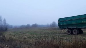 Техника на вывозке кукурузы. Class Xerion. Беларус-3522.