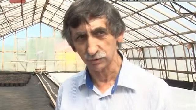 Картофель из пробирки