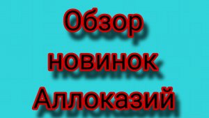 ОБЗОР НОВИНОК АЛОКАЗИЙ