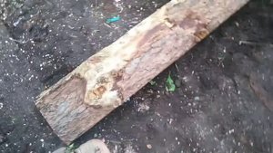 Тратуар из досок в деревне/как сделать тротуар.