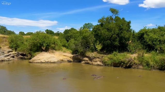 4K African Wildlife : Tsavo West National Park, Kenya - Scenic Wildlife Film With Real Sounds смотреть онлайн