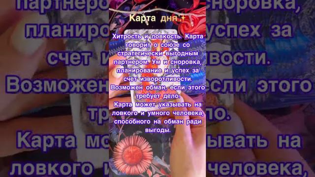 Карта дня✨