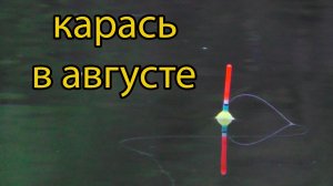 Ловля карася. Рыбалка на поплавок.