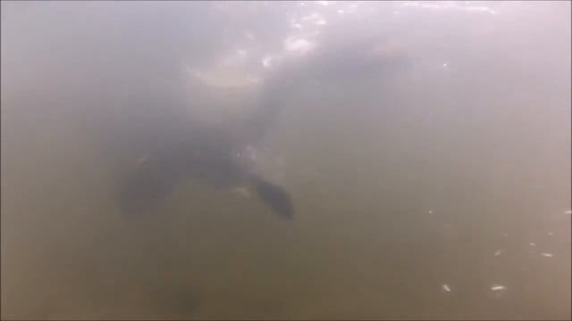 ЧёРНАЯ ГРЯЗЬ смотреть онлайн