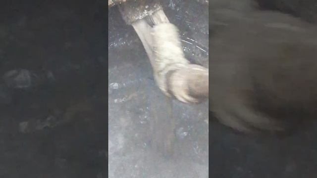 прочистка канализаций крот. смотреть онлайн