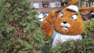 Приключения крупногабаритного мусора или как правильно выбрасывать КГО?