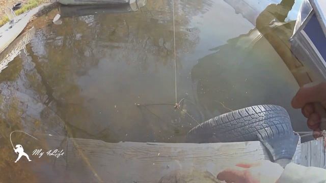 Рыбалка на судака в ОТВЕС и ТРОЛЛИНГОМ) Погода не судаковая, но бершей наловили. Часть 8