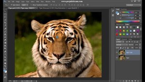 Redfield Plugins in Photoshop