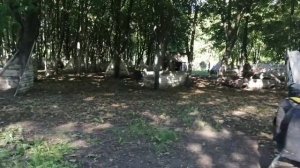 Пейнтбол/дети катают по взрослому