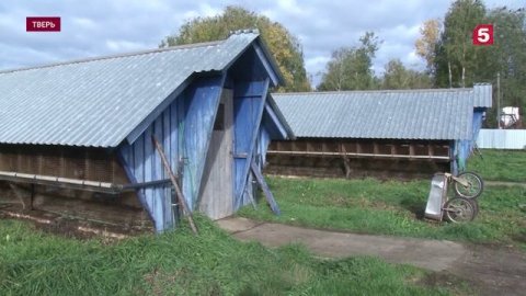 Где и как сейчас можно купить настоящую шубу