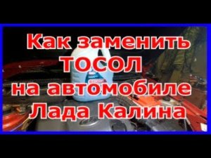 Особенности замены Тосола на автомобиле Лада Калина
