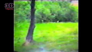 Поиск клада с металлоискателем в Ленинградской области.