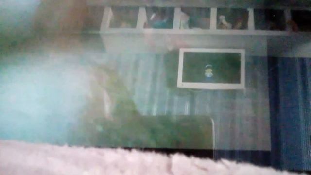 ПетоТеатр - Папа с ремнем с:! смотреть онлайн