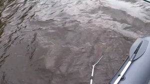 Ямаха 5 и немного рыбалки