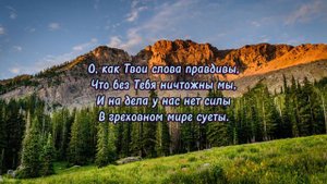 Когда в Твои слова вникаю (фонограмма)