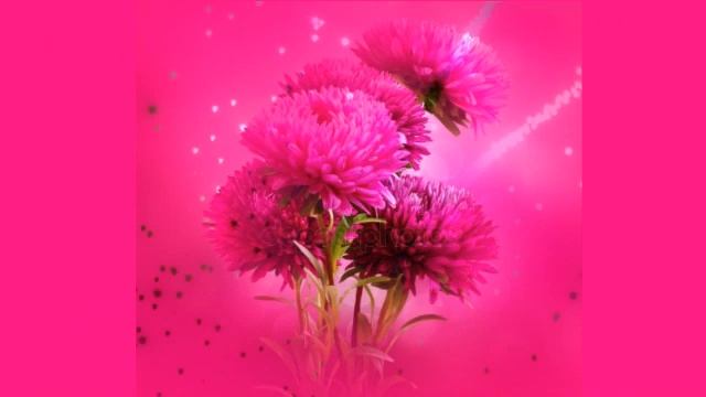 Юрий Визбор,"Леди" смотреть онлайн