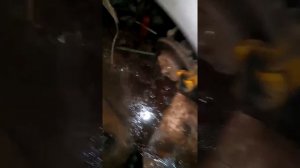 Снятие помпы ниссан примъера Р11