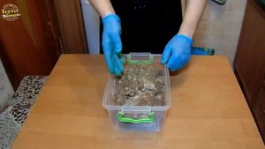 Буженина в духовке маринованная в пиве