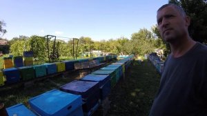 Пасека Никитенко. Покупка плодных маток и многое другое.11.08.2019 г.