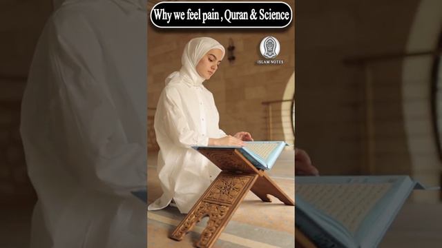 Why We Feel Pain | Scientific Facts In Quran | Scientific Miracles In The Quran | Urdu / Hindi