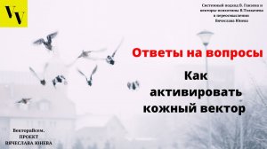 Как активировать кожный вектор. ВектораВсем. Проект Вячеслава Юнева
