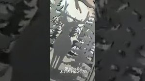 Как не должна выглядеть костровая чаша. Обзор чаши конкурента.