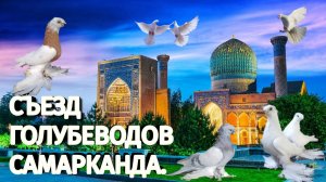 ГОЛУБИ УЗБЕКИСТАНА 
СЪЕЗД ГОЛУБЕВОДОВ САМАРКАНДА.
СКОРО НЕ ПРОПУСТИТЕ!!!