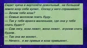 Подборка самых смешных анекдотов, слушаем и поднимаем себе  настроение