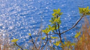 У Зины вытащили кошелёк оставив без денег, но женщина не опустила руки. Жизненная история