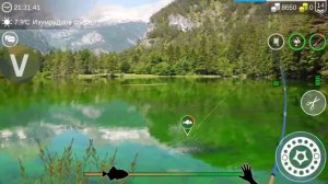 СТРИМ | My Fishing World Live• |