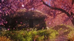 Singing birds,  calm river, nature sounds