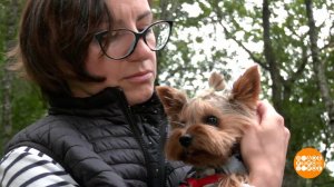 "Гипоаллергенность": правда и мифы. Доброе утро. Фрагмент выпуска от 14.09.2023