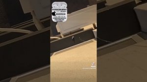 Как найти наушник AirPods или кейс