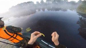 Блесна против силикона.  Неожиданный результат.  Рыбалка на спиннинг