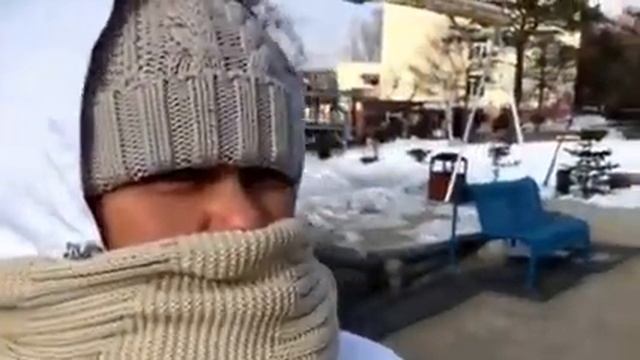 Пальмы в снегу