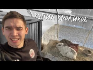 КУПИЛ КРОЛИКОВ/ПОПОЛНЕНИЕ В СЕМЬЕ/КРОЛИКОВОДСТВО ДЛЯ НАЧИНАЮЩИХ
